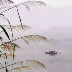 苦海听涛采集到风景旖旎