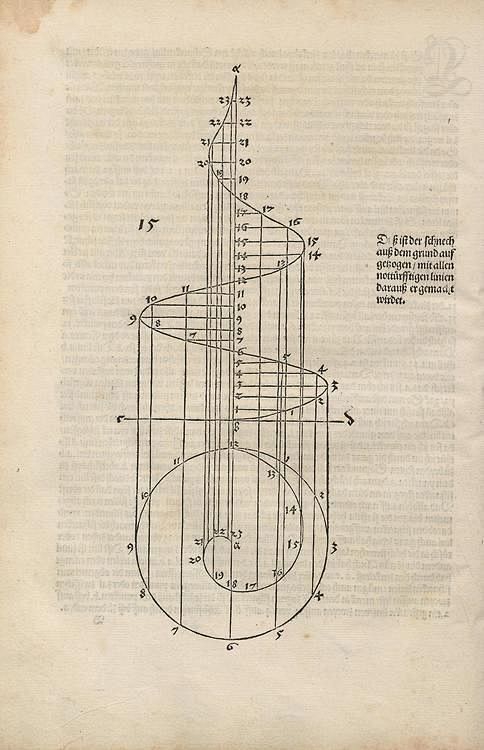 Albrecht Dürer, A pl...
