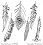 Hand-drawn feather collection