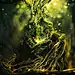 General 1920x1080 roots trees door branch digital art forest Desktopography heart fantasy art