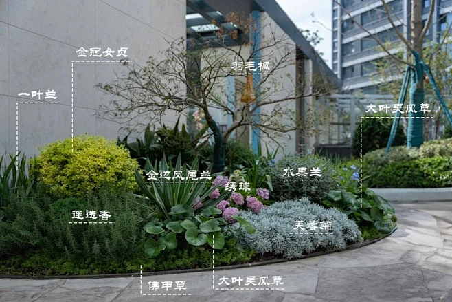 植物组团｜花境案例分享 - 小红书-花瓣网