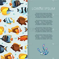 鱼类,水族馆,明亮,卡通,式样,自然,图像,水母,海洋,休闲