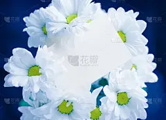 贺卡和鲜花