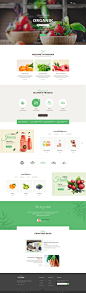 Organic Store, Farm & Bakery Woocommerce Theme : We are glad to introduce to you Organik - the new released Woocommerce theme designed specially for organic food, shop, bakery and farm industry. This organic template does not only obtain the fascinati