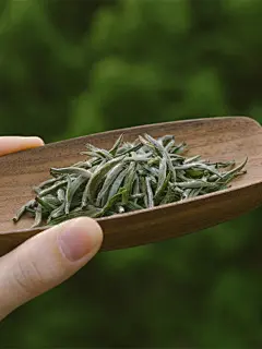 【晴林春雪】白茶·白毫银针2023头春头采芽头 清幽花香 韶灵素心-淘宝网