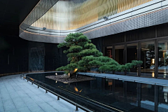 谁说设计很简单采集到水景