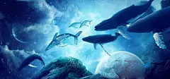 海洋,海豚,蓝色,海报banner,卡通,童趣,手绘图库,png图片,,图片素材,背景素材,2658844北坤人素材@北坤人素材