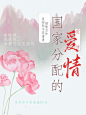 国家分配的爱情
