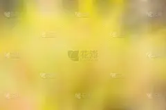 抽象,壁纸,前景聚焦,彩色图片,未来,式样,水平画幅,形状,无人,散焦