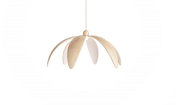 LAMP BLOOM——花灯