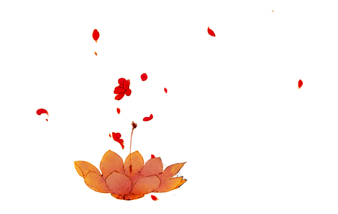 唯美古风水彩手绘荷花荷叶古典水墨莲花插画...