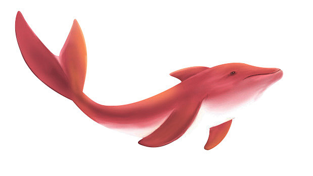 鲸鱼-粉色