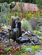 Lots of visual interest in this garden - Cyan Landscaping in Snohomish, Washington