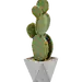 仙人掌植物盆栽素材 北欧居家装饰