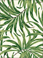 wallpaperstogo.com WTG-143161 Ashford House Tropical Wallpaper