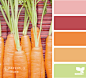 carrot hues