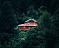 house surrounded by trees