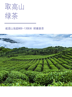 挽歌亦凉采集到茶背景