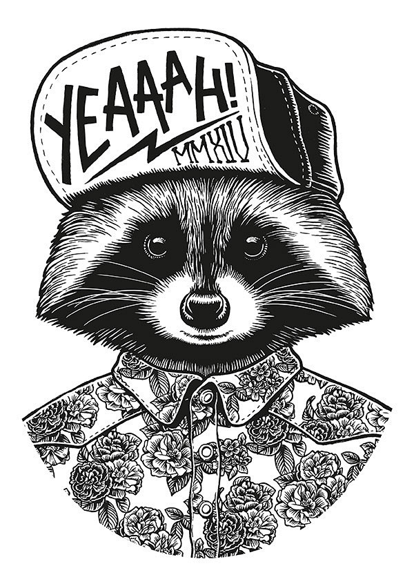 Raccoon on Behance