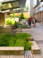 rainwater garden design | Raingardens connected to downspouts via granite paver runnels crossing ...: 