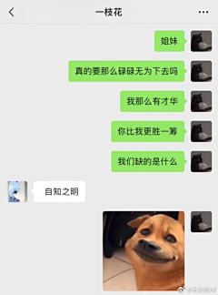 广东第一靓采集到『含笑九泉』