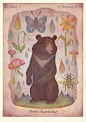 VLADIMIR stankovic on Behance