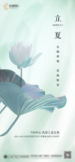 多多崽崽1采集到立夏
