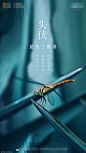 源文件-入伏海报