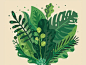 #蓉儿iPad插画#每日积累 插画-植物