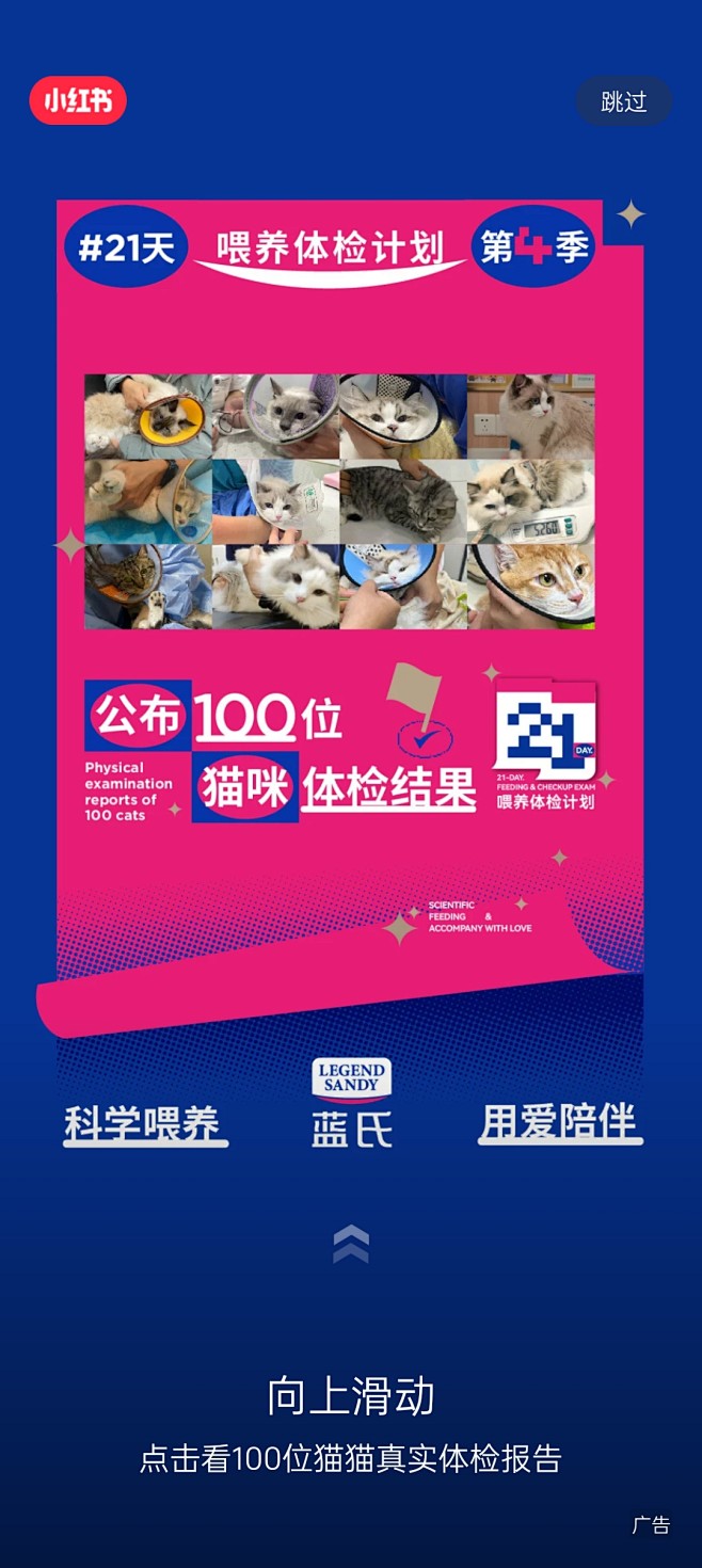 小红书风格 海报 开屏 长图