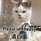 字媒体 _你以前很宠我的侬采下来_T201972 #率叶插件，让花瓣网更好用_http://ly.jiuxihuan.net/?yqr=17590838#