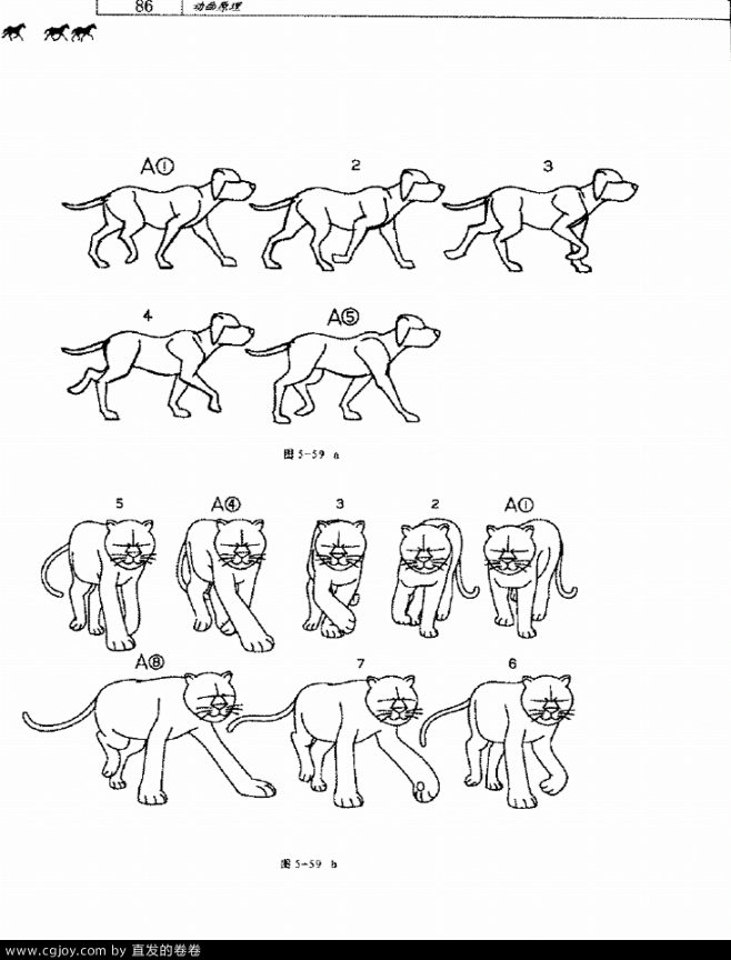新提醒四足动物飘带等的运动规律图和gif游戏动画交流poweredbydiscuz