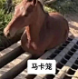 热榜