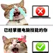教育吸睛表情包对比梗图小红书封面aigc