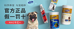 晴空蓝曦采集到宠物海报