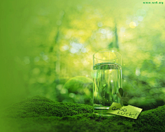 绿色清新动态壁纸