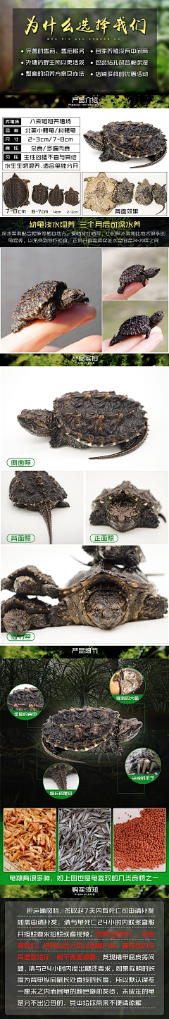 易无忧Y采集到详情页