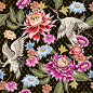 从绘制紫菀花和白鹤无缝图案。日本风格。