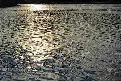 平视角,湖,水,美,风,水平画幅,纹理效果,无人,湿,夏天