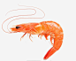 美味虾高清素材 红色 美味虾 美食 虾 免抠png 设计图片 免费下载