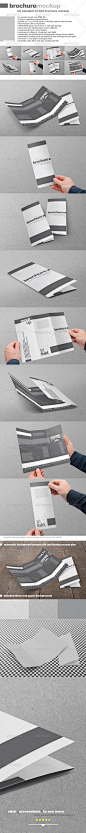 Tri-Fold US Standard Brochure 三折页场景模型素材效果展示模板-淘宝网