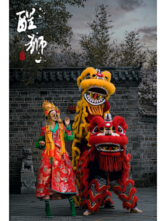 小岳云采集到醒狮拍摄(1)