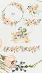Watercolor blooming. Spring set by NataliVA on Creative Market