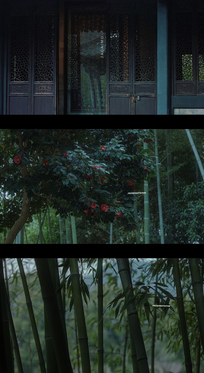 我的赞 - 微博