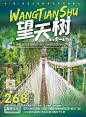 【源文件下载】 海报 西双版纳 望天树 旅游 218475