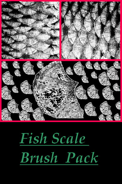Fish Scale Photoshop...
