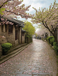 ~小迷糊~采集到停停走走 悠闲小镇