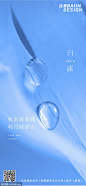 源文件下载 二十四节气节日蓝色白露露珠 节气 节日 蓝色 白露 露珠