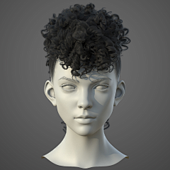 Zqhlcjm采集到zbrush