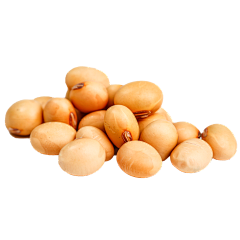 郭源潮·采集到食品 png